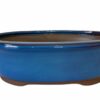 VASO-BONSAI-LITERATO-OVAL-18,6X13,2X5,6CM-AZUL