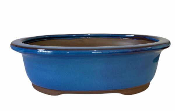 VASO-BONSAI-LITERATO-OVAL-18,6X13,2X5,6CM-AZUL