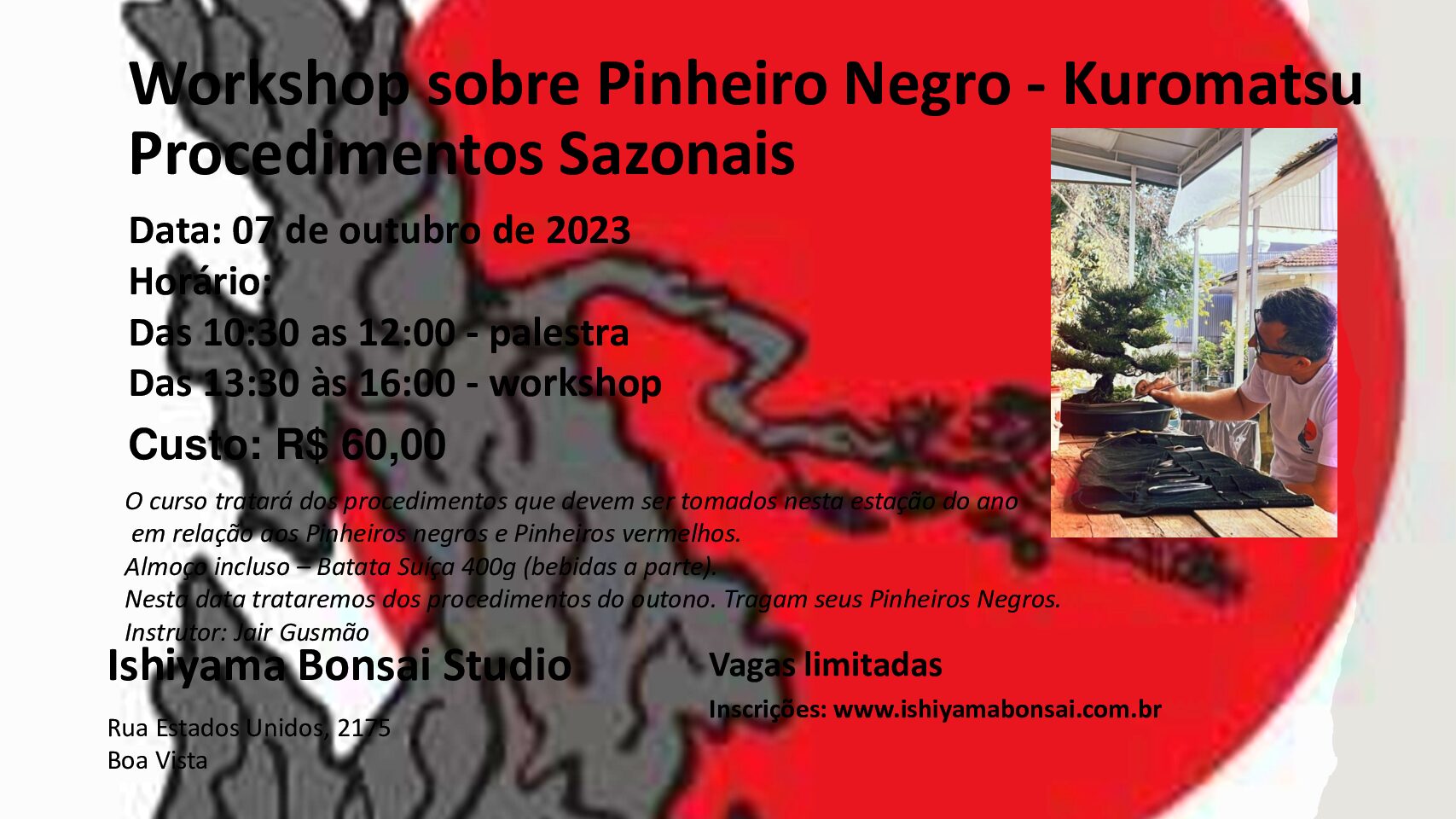 Work Shop – Procedimentos Sazonais – Pinheiro Negro