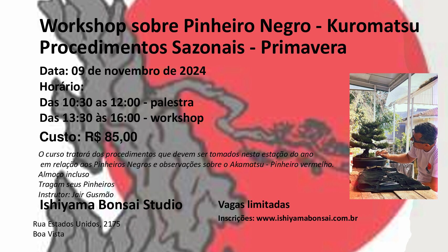 Procedimentos Sazonais de Pinheiro Negro – 9/nov/24 (sábado)